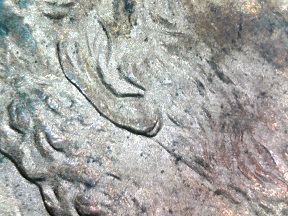 1995-D-Lincoln-Cent-Double-Earlobe-?